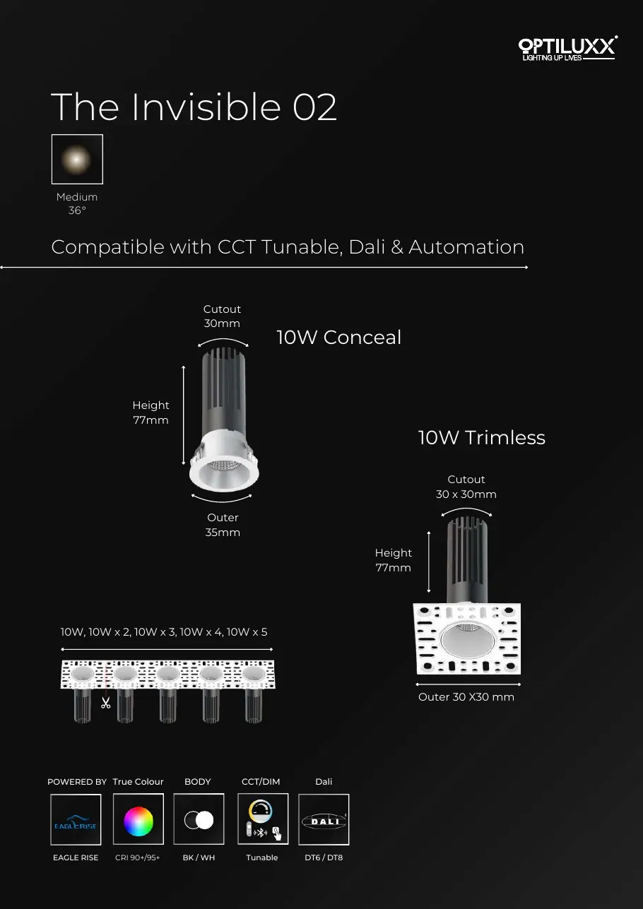 The Invisible 02